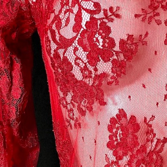 LONG SLEEVE LACE BODYSUIT - Picture 2 of 8